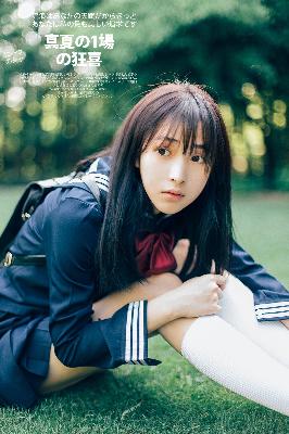 珠帘玉幕电视剧免费观看完整版