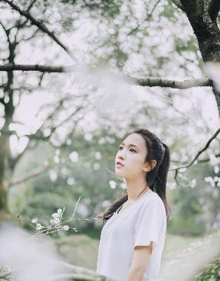 朝雪录电视剧免费观看全集高清