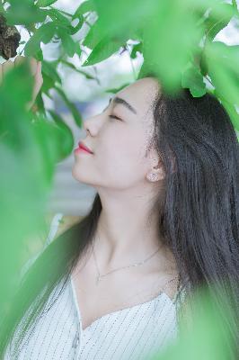 成全免费高清观看在线电视剧大全